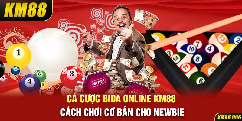 Cá Cược Bida Online KM88 – Cách Chơi Cơ Bản Cho Newbie